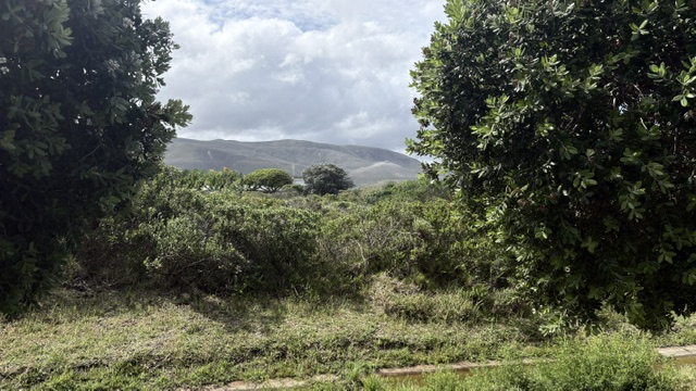 0 Bedroom Property for Sale in Sandbaai Western Cape